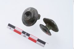 Foto von Bronzezierniet (NHMW-PRAE-002318)